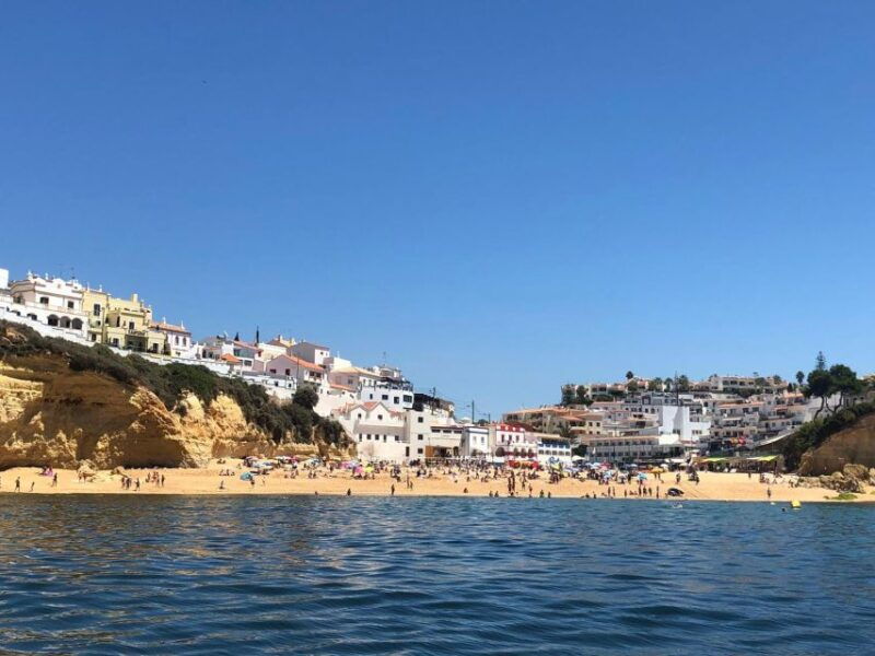 portimao-dophin-watching-on-the-algarve-coast