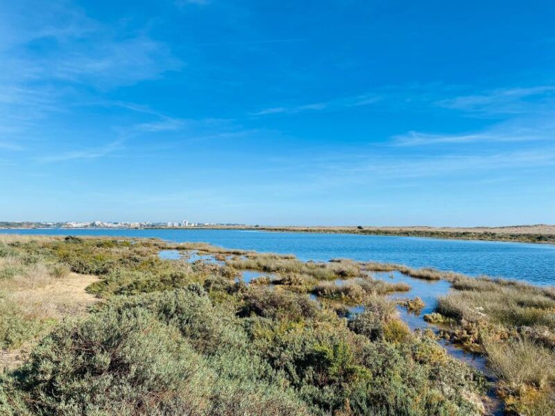 portimao-sightseeing-guided-tour-on-e-bikes