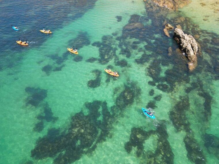 portimao-small-group-kayak-cave-and-cliff-tour