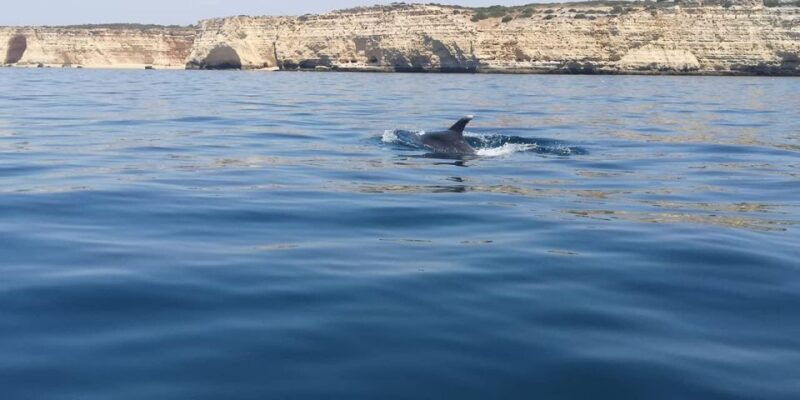 portimao-sunrise-private-tour