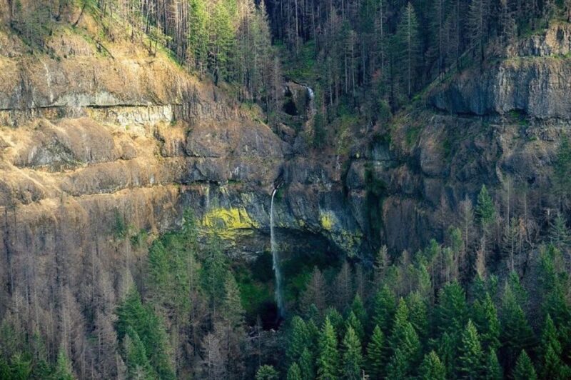 Portland: Columbia Gorge Waterfalls 40-Minute Scenic Flight - Final thoughts