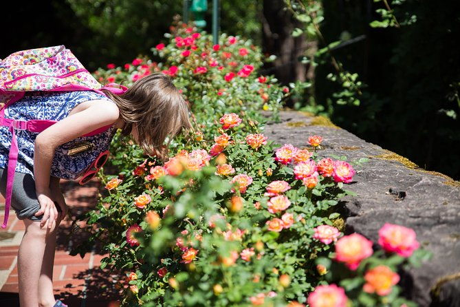 portland-hop-on-hop-off-pink-trolley-tour-with-gray-line-1-or-2-day-pass