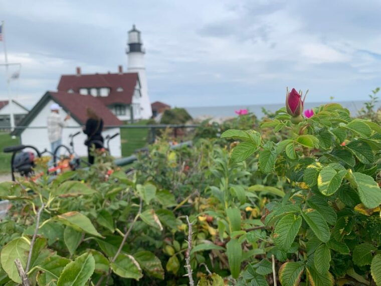 portland-maine-coastal-lighthouses-guided-bicycle-tour