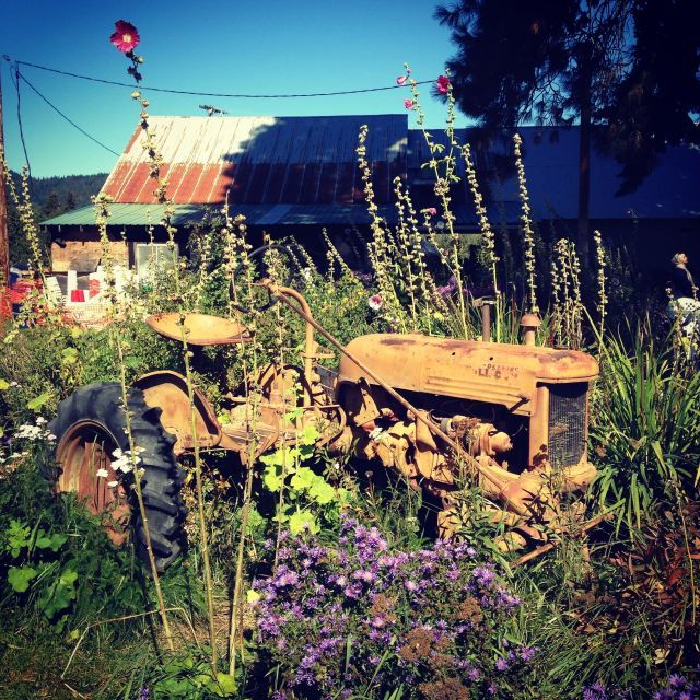 portland-mt-hood-day-tour