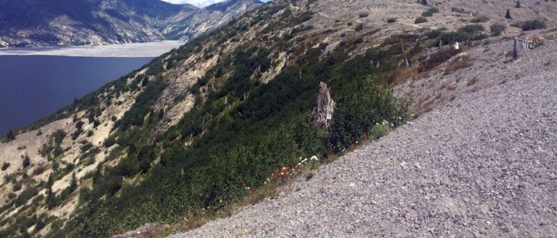 portland-the-mt-st-helens-adventure-tour