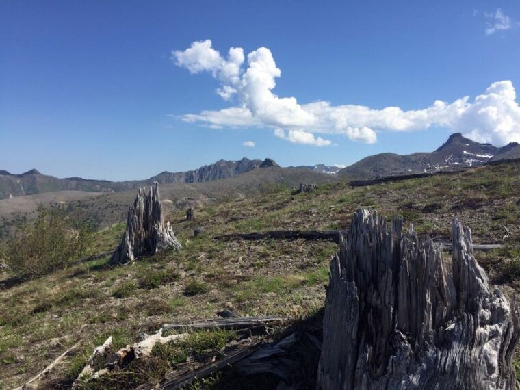 portland-the-mt-st-helens-adventure-tour