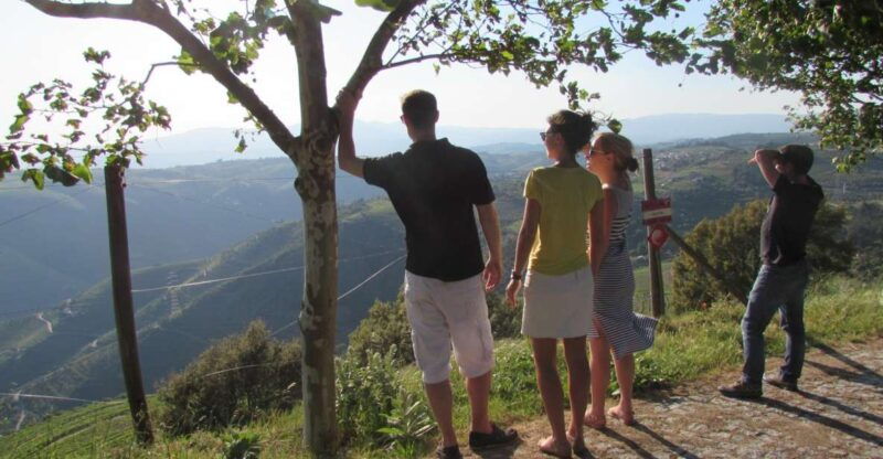 porto-3-douro-valley-vineyards-tour-with-lunch