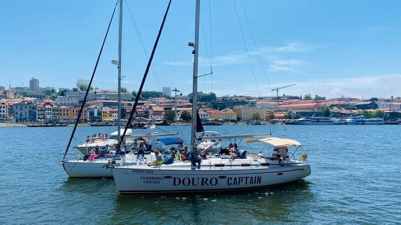 Porto 4H: Charming cruise, wine tasting, and vintage van tour - Final Thoughts: Who Will Love This Tour?