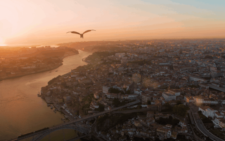 porto-5d-flight-over-de-city-for-all-family