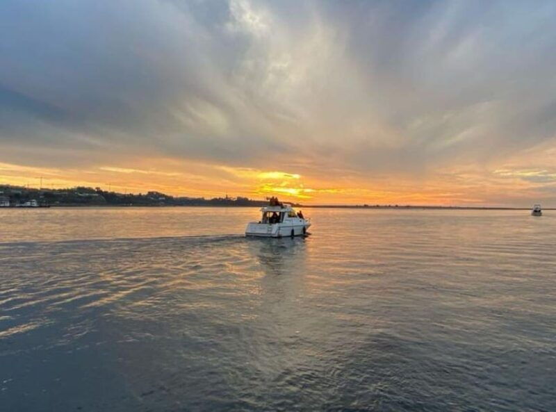 porto-6-bridges-cruise-port-wine-with-sunset-option