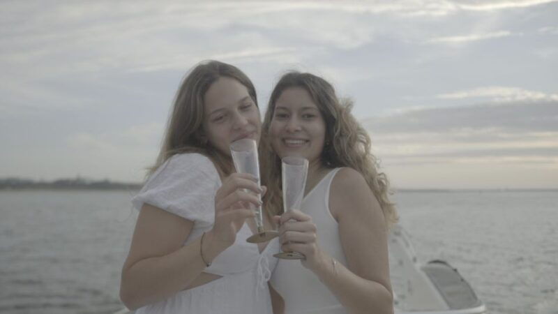 porto-6-bridges-yacht-cruise-with-local-wine-snacks