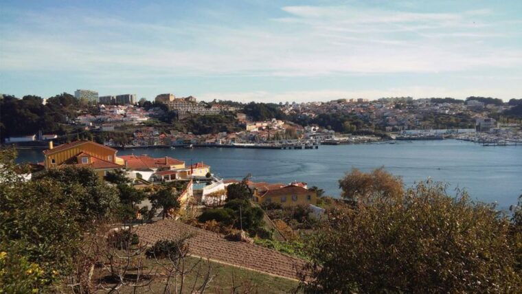 porto-a-ride-along-the-coast-in-a-fun-eco-friendly-car