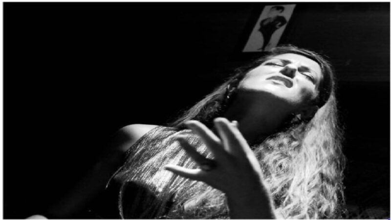 porto-all-inclusive-fado-dinner-show-and-night-tour