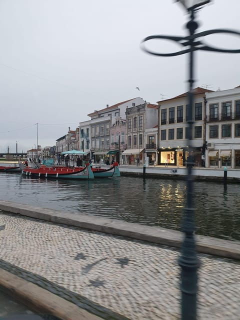 porto-and-aveiro-private-day-trip-from-lisbon