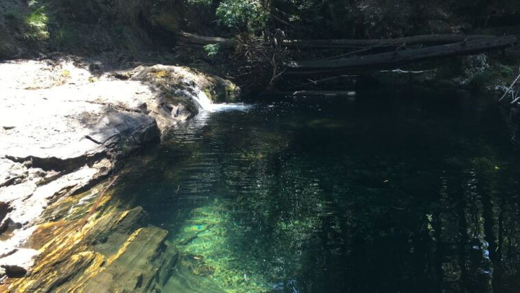 porto-and-north-coast-exclusive-secret-waterfalls-in-4x4