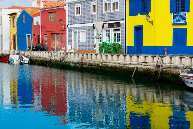 porto-aveiro-tour-including-moliceiro-cruise