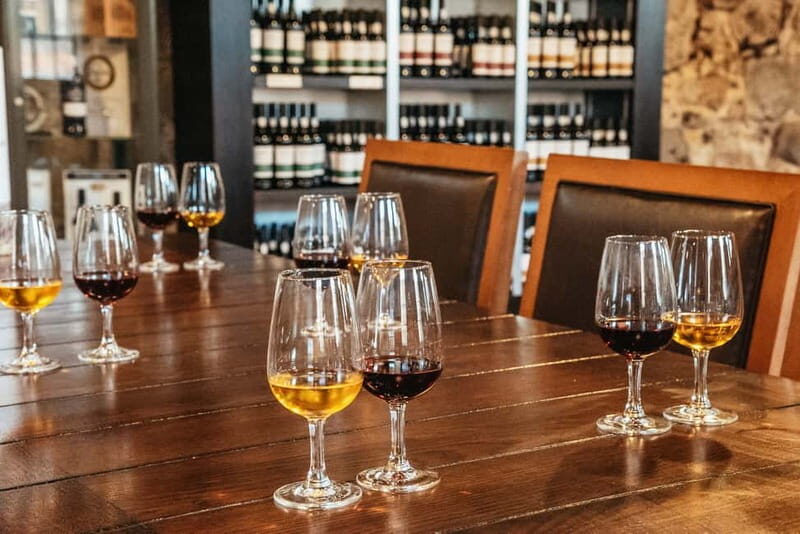Porto: Bridges Cruise with Wine Cellar Tour or Sunset Option - An In-Depth Look at the Porto Bridges Cruise