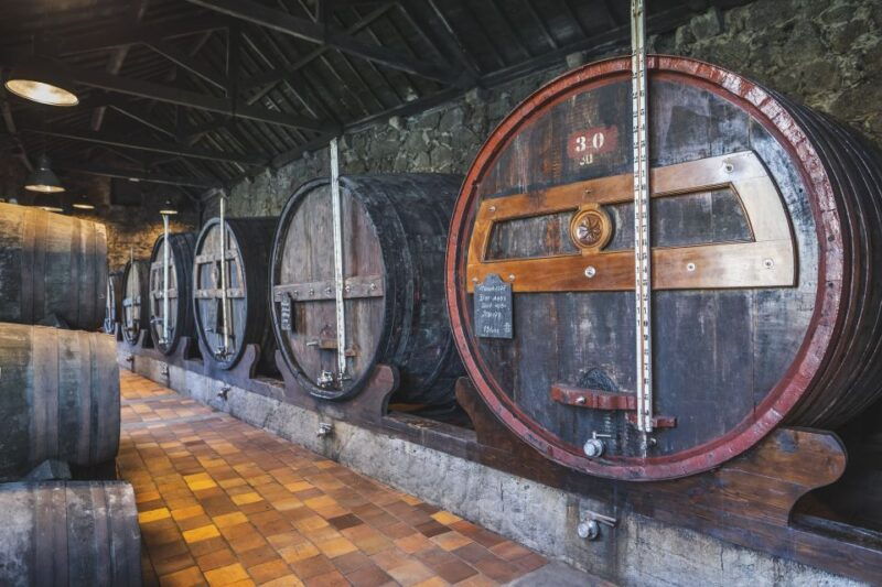 porto-burmester-cellar-tour-with-tasting-pairing-options