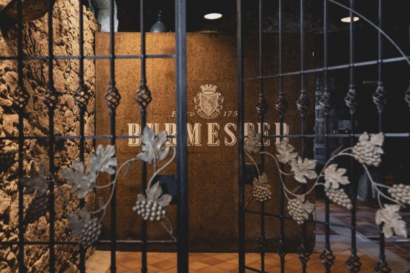 porto-burmester-cellar-tour-with-tasting-pairing-options