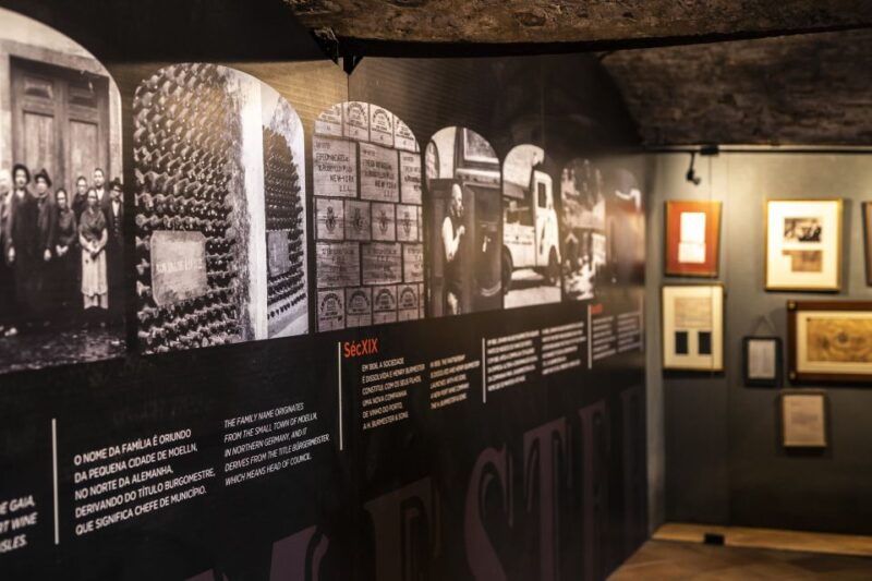 porto-burmester-cellar-tour-with-tasting-pairing-options