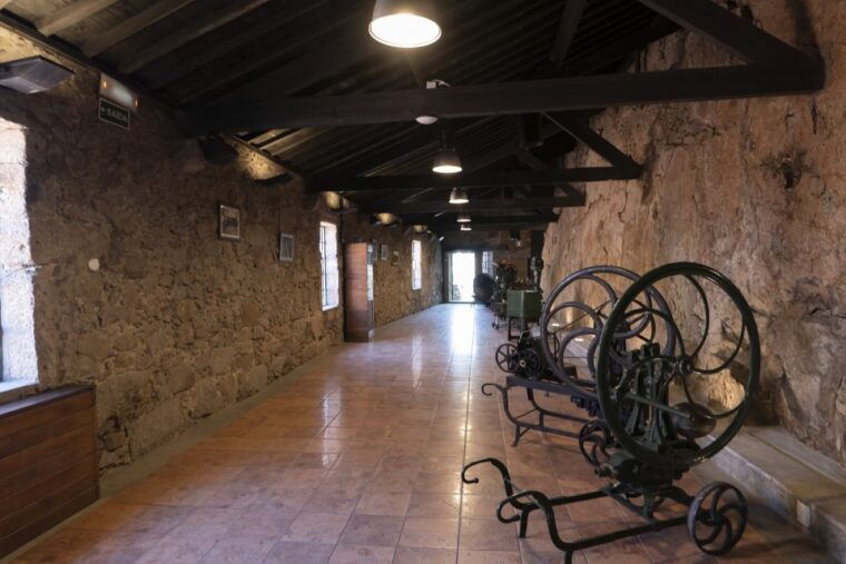 porto-burmester-cellar-tour-with-tasting-pairing-options