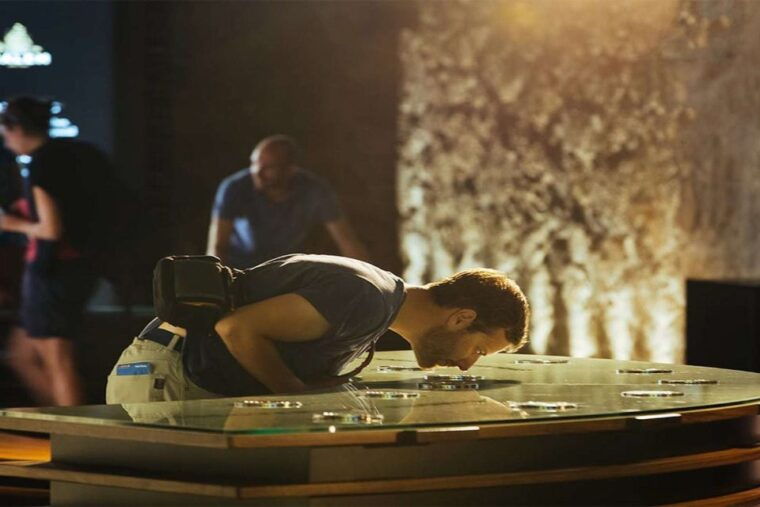 porto-calem-cellar-tour-interactive-museum-wine-tasting