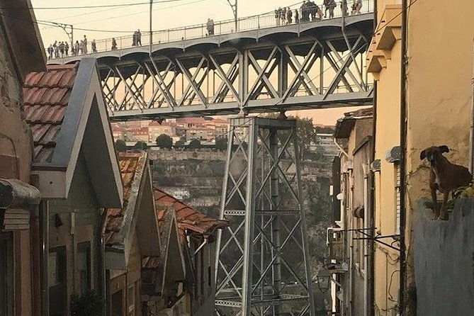 porto-city-and-aveiro-private-tour-from-lisbon