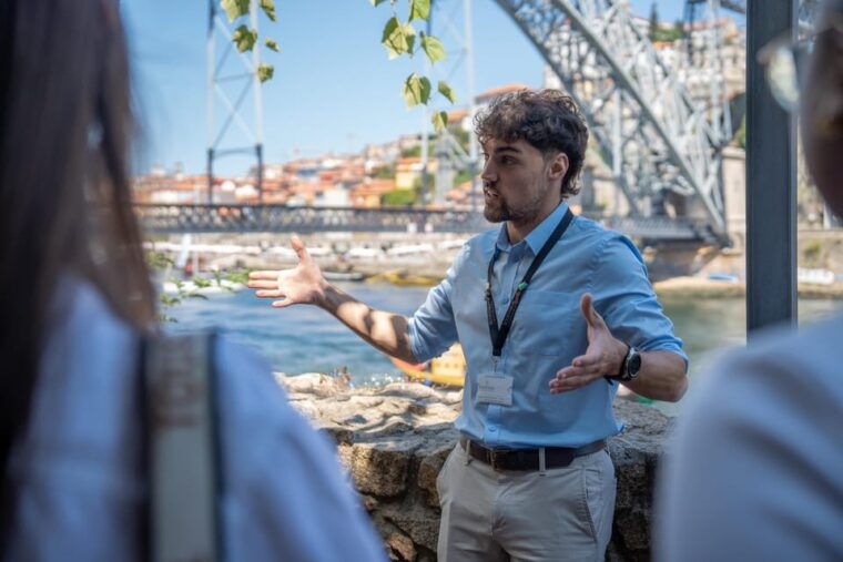 porto-city-full-day-minibus-tour-wine-tasting-six-brigdes