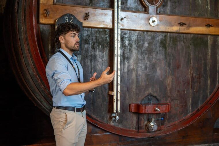 porto-city-full-day-minibus-tour-wine-tasting-six-brigdes