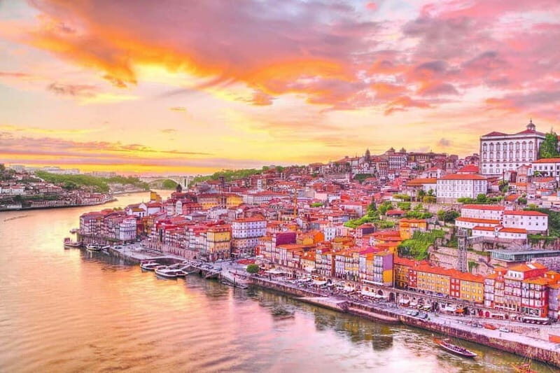 Porto City Tour: Private day tour with tickets included. - Key Points