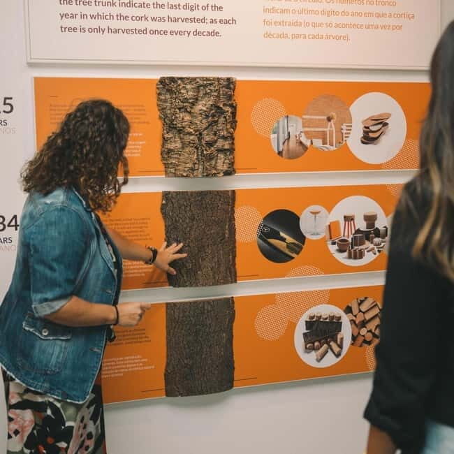 Porto: Combined Ticket for WOW Cultural District - Authentic Experiences and Reviewer Insights