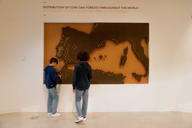 Porto: Cork Museum: Immersive and Perfect for Families - Practical Tips for Visiting