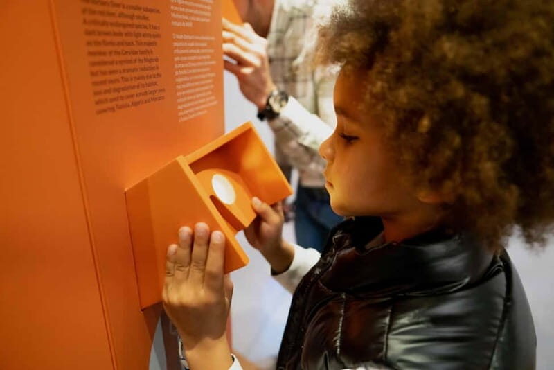 Porto: Cork Museum: Immersive and Perfect for Families - Final Thoughts
