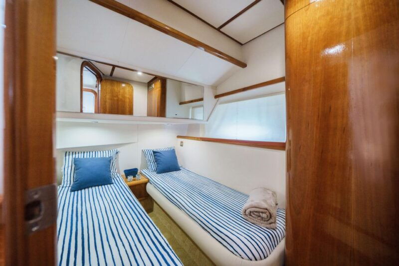 porto-cruise-on-the-douro-river-discovering-regua