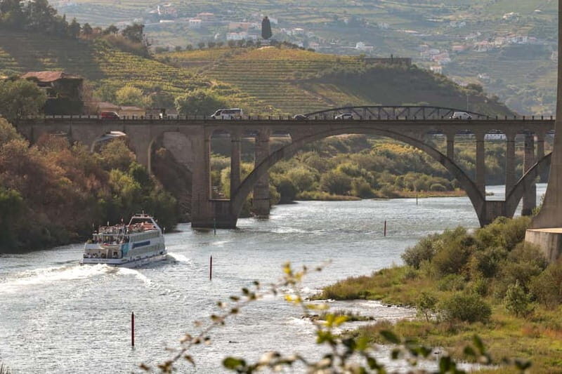 Porto: Cruise with Dinner & Live Music - Who Will Love This Cruise?