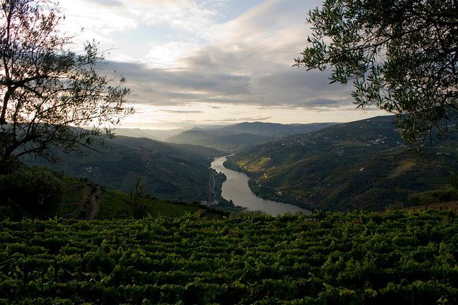 porto-day-trip-to-douro-including-lunch-and-rivercruise-2