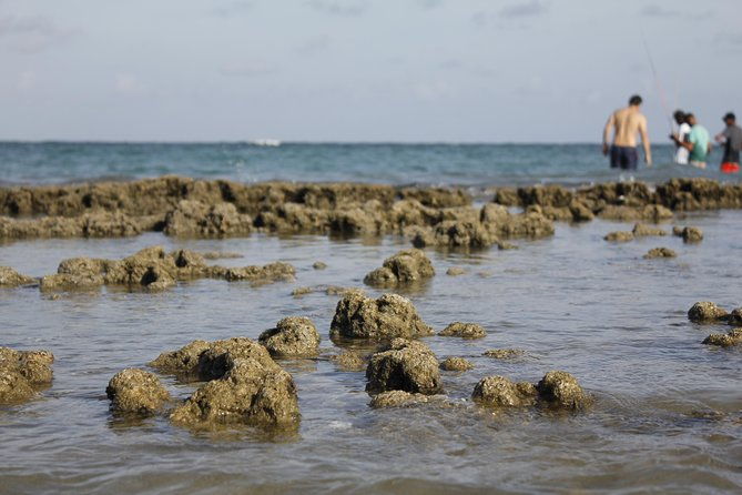 porto-de-galinhas-day-trip