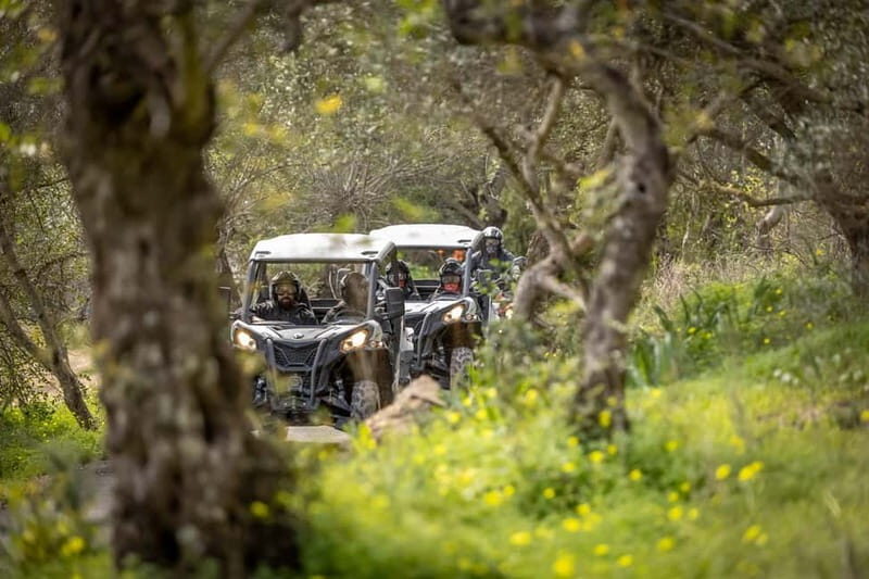 Porto: Dirt and Dust Tour by Oporto Buggy - Key Points