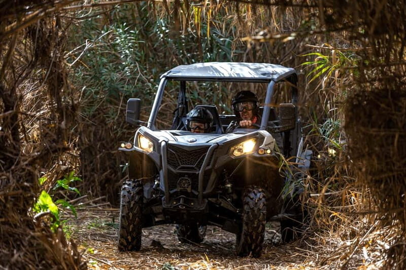 Porto: Dirt and Dust Tour by Oporto Buggy - What to Expect on the Dirt and Dust Tour
