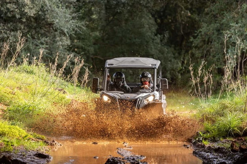 Porto: Dirt and Dust Tour by Oporto Buggy - Logistics, Pricing, and Value