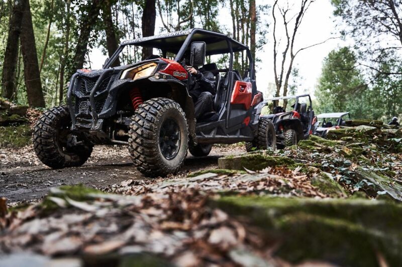 Porto: Dirt and Dust Tour by Oporto Buggy - The Experience for Different Types of Travelers