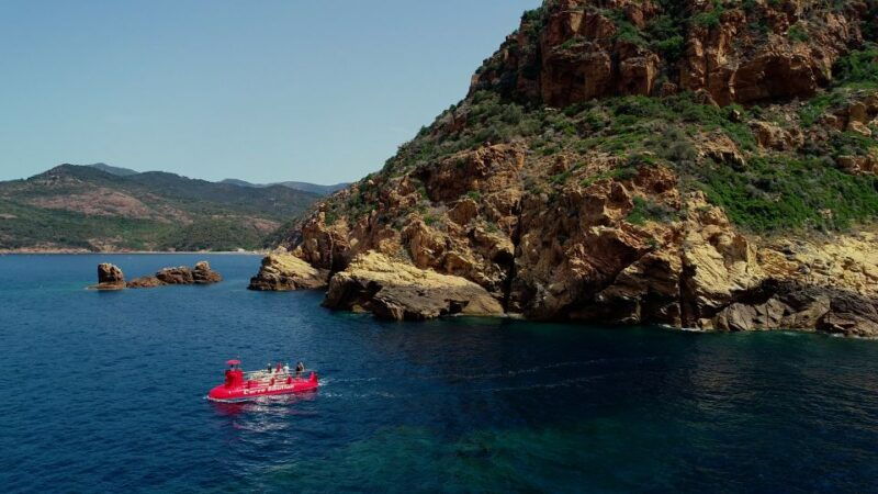 porto-discovery-of-the-marine-fauna-and-flora-bay-of-porto