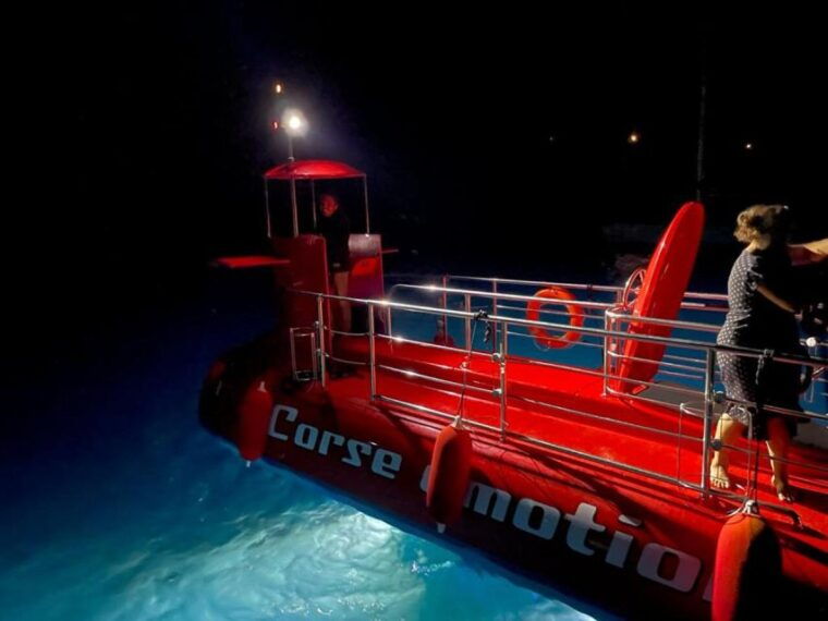 porto-discovery-of-the-marine-fauna-and-flora-bay-of-porto