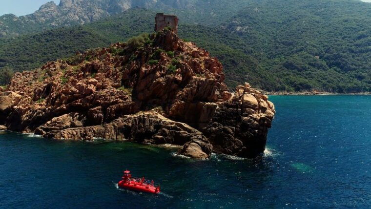 porto-discovery-of-the-marine-fauna-and-flora-bay-of-porto