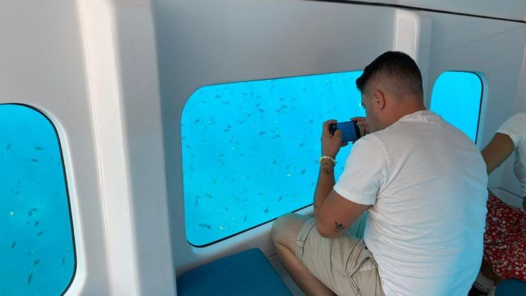 porto-discovery-of-the-marine-fauna-and-flora-bay-of-porto