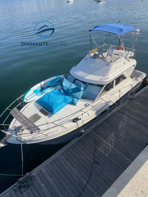 porto-douro-6-bridges-or-sunset-tour-with-welcome-drinks