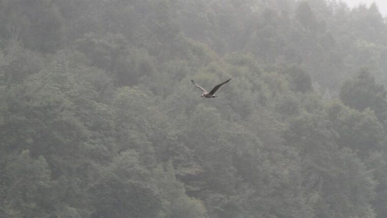 porto-douro-nature-boat-tour