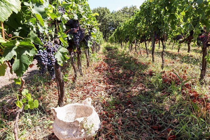 porto-douro-valey-2-wine-regions-sommelier-boat-trip-lunch