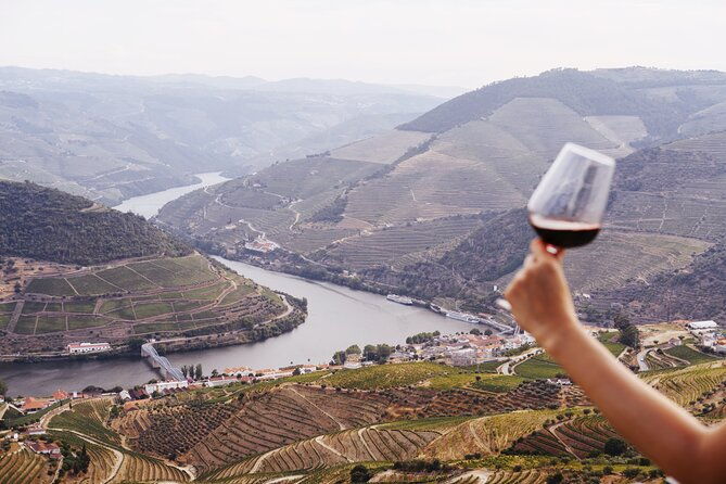 porto-douro-valey-2-wine-regions-sommelier-boat-trip-lunch