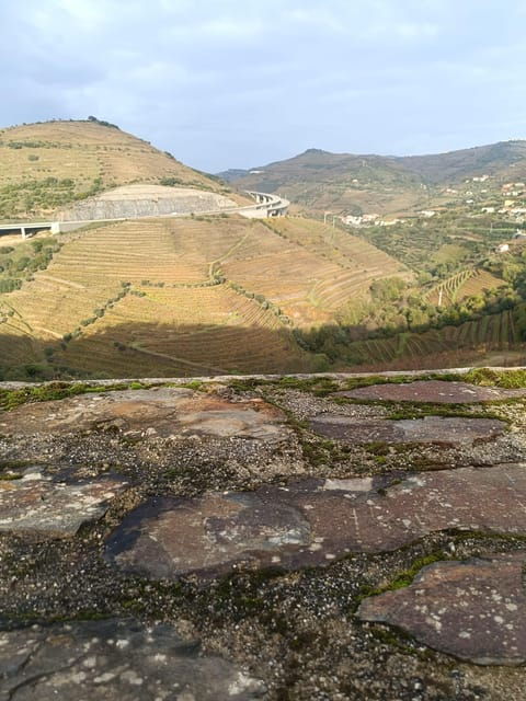 porto-douro-valley-2-farms-with-wine-tasting-and-lunch